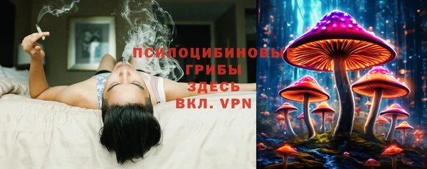 меф Алексин