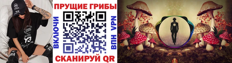 Галлюциногенные грибы прущие грибы  ссылка на мегу ссылка  Чернушка 